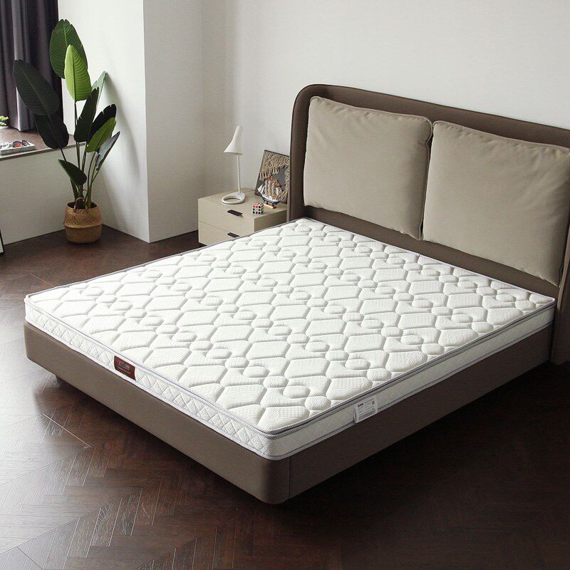 柏幕 环保3E椰棕床垫床垫加硬床垫1.2m1.5米1.8米509