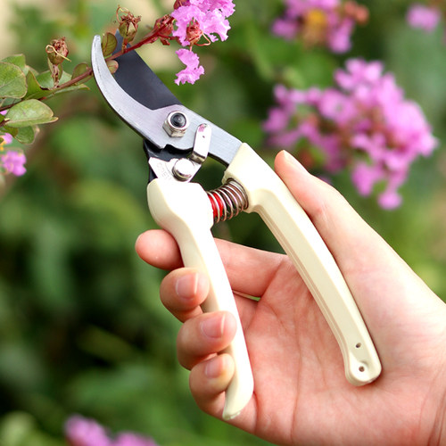 园艺修枝剪家用果树剪修花修枝花艺剪刀细枝剪盆景造型花剪子工具