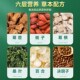 北京同仁堂内廷上用m茯苓菊苣栀子茶非特级中老年调理养生茶官方