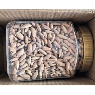 手剥巴西松子405g罐装 净重薄C皮长粒松子孕妇吃解馋休闲零食