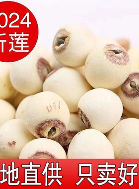 湘潭莲子官方旗舰商用店有芯干货实心莲子带芯粉糯无硫5W00g白莲