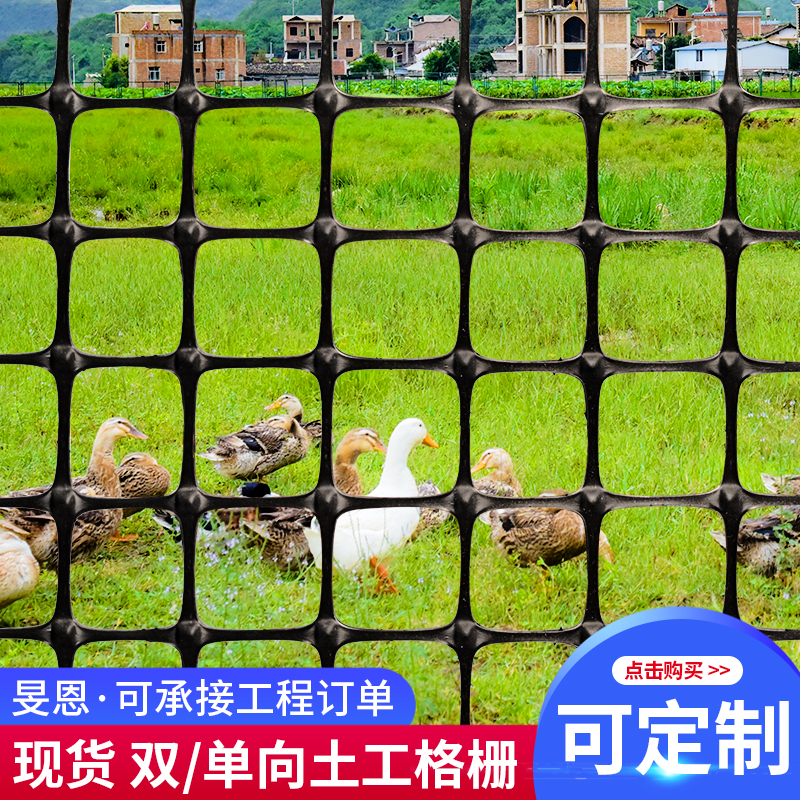 土工格栅单双向玻纤路基护坡钢塑路面防裂网养鸡围栏塑料网养殖网