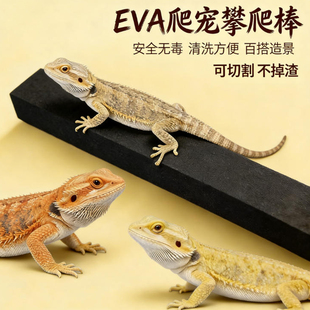 硬质泡棉棒条爬宠攀爬棍巨人R属睫角守宫树蛙可裁剪造景藤木原生态海绵条饲养缸悬浮树栖蛇爬虫DIY防木植爬棒