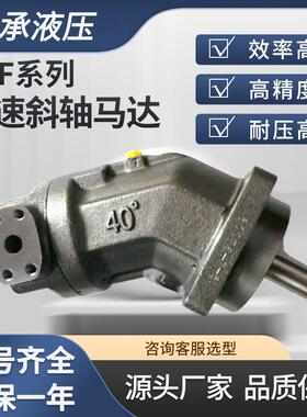 A2FM250/60W-VZB010新款液压马达行走马达高速马达