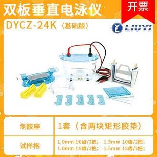 DYCP-31DN/CN电泳槽凝胶蛋白核酸琼脂糖水平垂直电泳仪