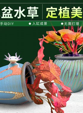 彩陶陶罐水草植物花盆定植红荷根睡莲阴性后景草淡水鱼缸造景摆件
