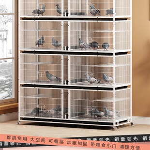 鸽子笼信鸽元宝配对笼三层大号加密带食盒水盒室内外养殖笼防老鼠