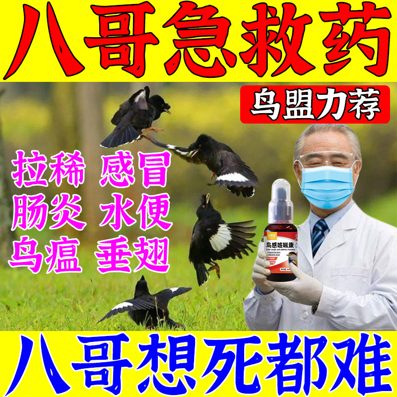 八哥拉稀感冒肠胃积食鹩哥绿水便鸟类益生菌活液助消化鹦鹉