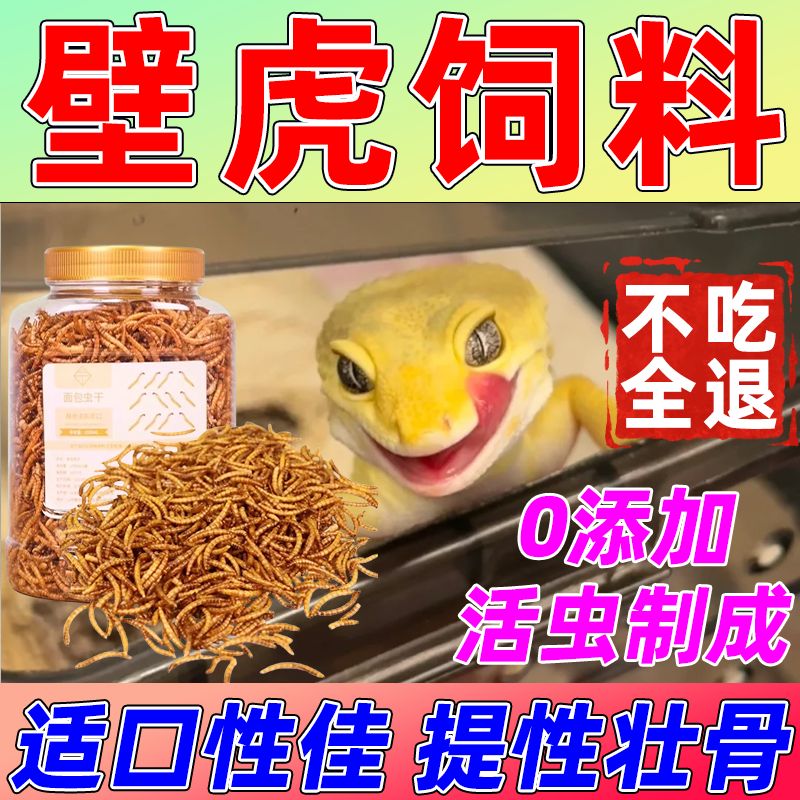 壁虎饲料宫鬃狮小爬宠守宫食物钙粉宠物眼睫角壁虎蜥蜴虫干凝胶粮