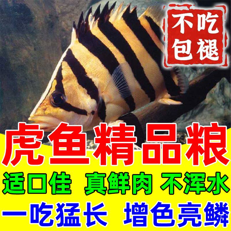 虎鱼饲料幼苗专用鱼食下沉型颗粒鱼粮不浑水金银龙招财猫地图蓝鲨