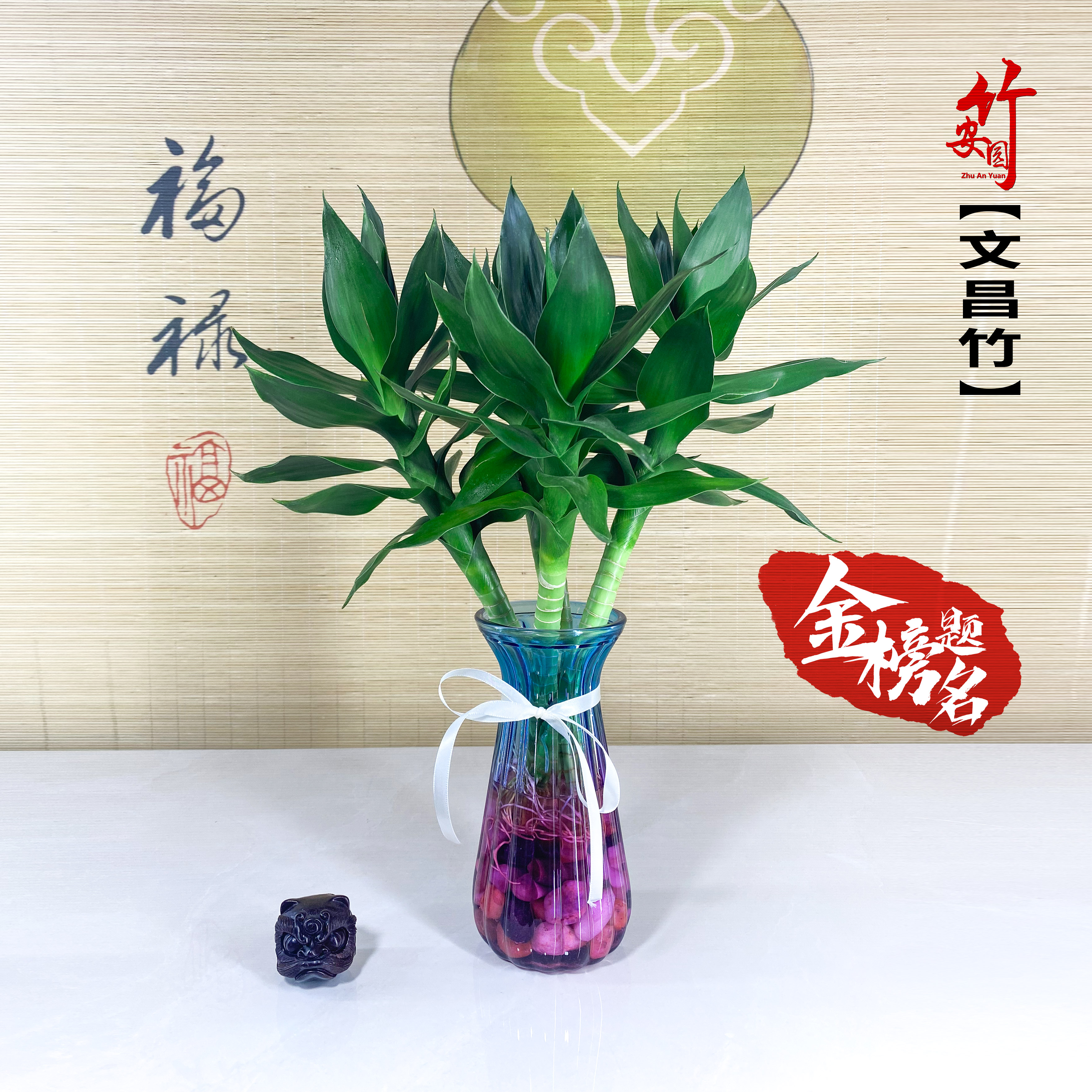 文昌竹4支富贵水养带根节