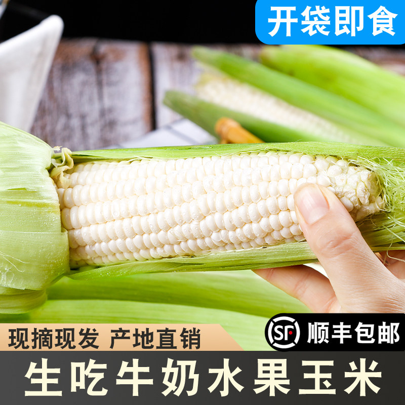 福建漳州爆浆牛奶水果玉米