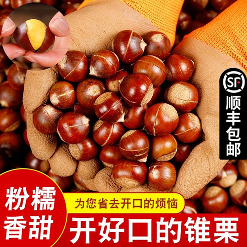 2025年板栗生新鲜建瓯锥栗