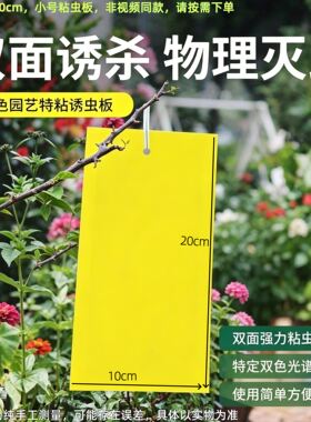 双面粘虫板大棚果树瓜菜园黄板沾