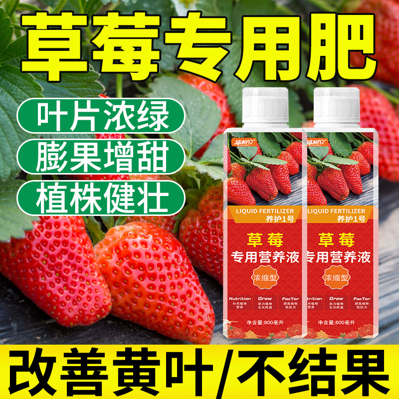 盛柏亿草莓专用肥浓缩营养液