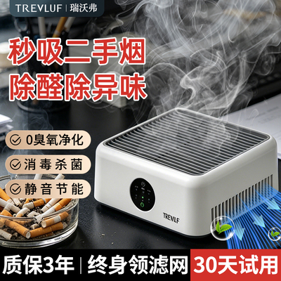 瑞沃弗车载空气净化器除二手烟家用小型净化机办公室除异味甲醛