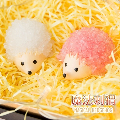 魔法水晶种植生长神奇结晶刺猬DIY科学实验套装益智玩具创意礼物