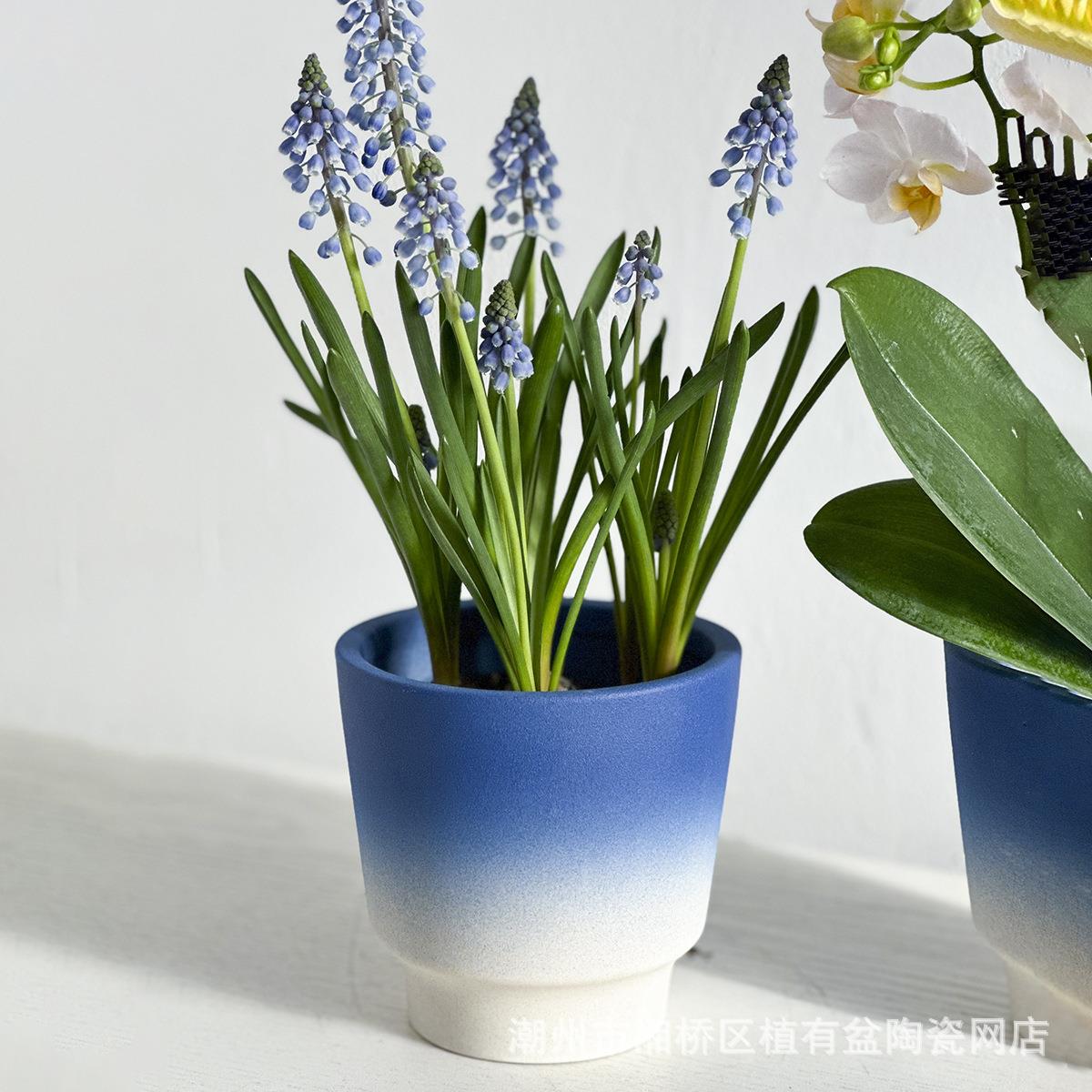 法式葡萄风信子花盆蓝色北欧简约室内蝴蝶兰种球绿植简约花店盆器