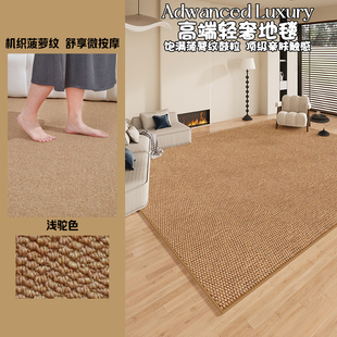 菠萝圈素色卧室房间家用 高级感仿剑麻地毯客厅茶几垫沙发2024新款