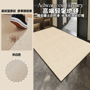 仿剑麻入户门地垫2025新款高级感进门门口脚垫家用玄关地毯防滑垫