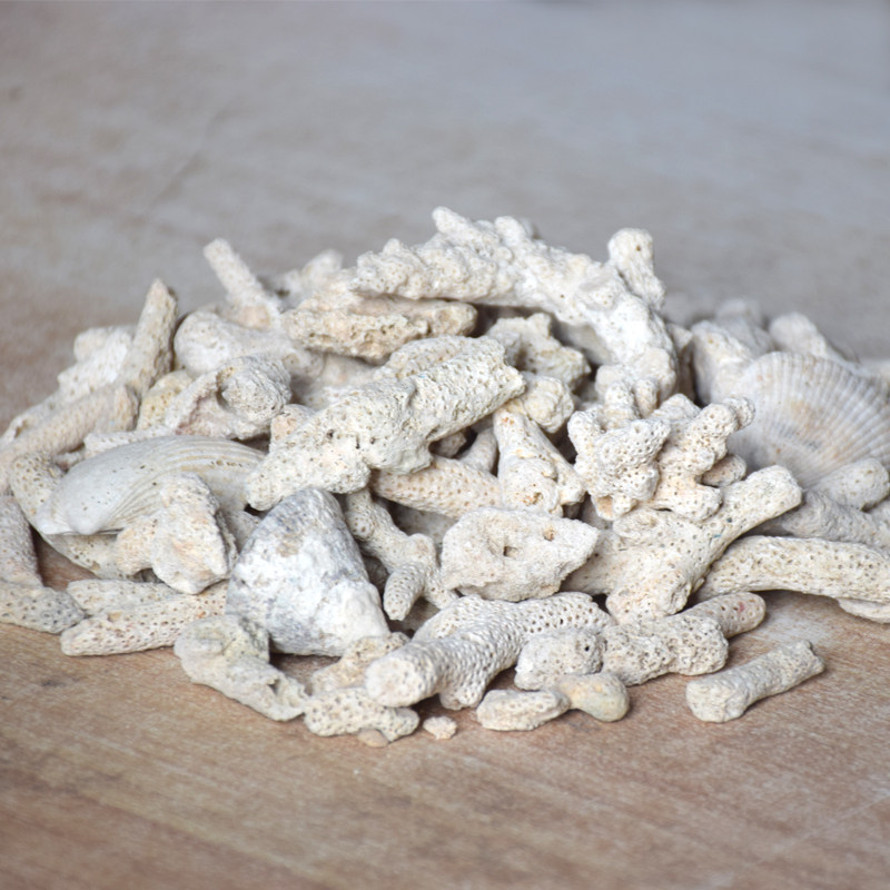 珊瑚石鱼缸过滤材料珊瑚骨珊瑚沙珊瑚礁底砂死石水族箱造景珊瑚石