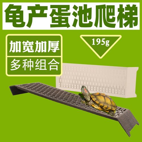 乌龟产蛋池乌龟晒背台白色黑色加宽加长宽14厘米中间长35厘米爬梯