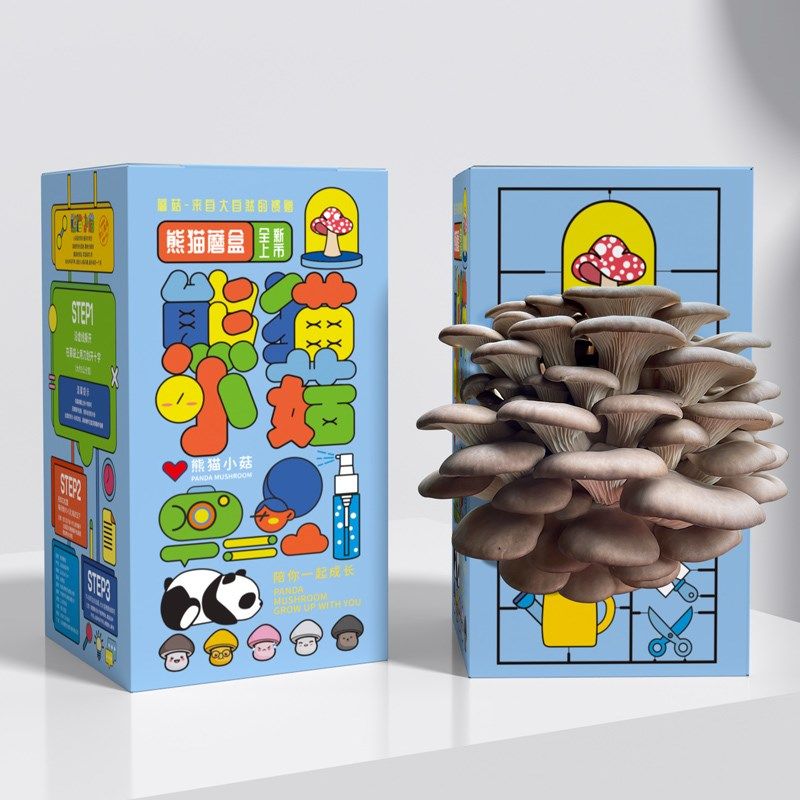 蘑菇盒子礼盒平菇种植包食用菌娃娃绿植幼儿园养殖盒装袋装礼物
