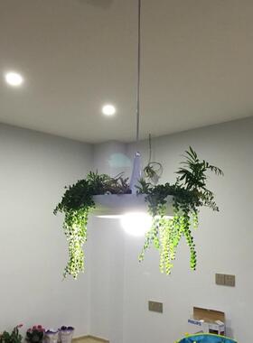 白色吊灯铝材艺术灯花盆空中花园盆栽植物北欧餐厅灯创意吊灯灯具