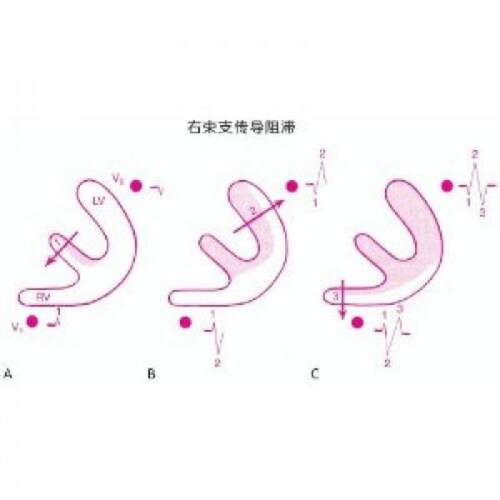 库存书售价高于定价九成新以上套装默认单本