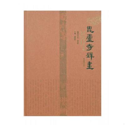 正版发货快毗卢寺壁画 9787531035589 康殿峰 河北美术出版社
