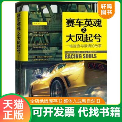 正版速发9787568004923 赛车英魂之大风起兮 俞夏著 华中科技大学出版社