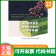 西南师范大学出版 正版 重庆市科学技术委员会组织编印 森林重庆建设适宜林木花卉技术手册 社 速发9787562143406