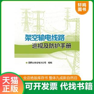 正版速发9787512368033 架空输电线路巡视及防护手册 国网山东省电力公司组　编 中国电力出版社