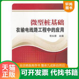 正版速发9787512332508 微型桩基础在输电线路工程中的应用 程永锋 中国电力出版社