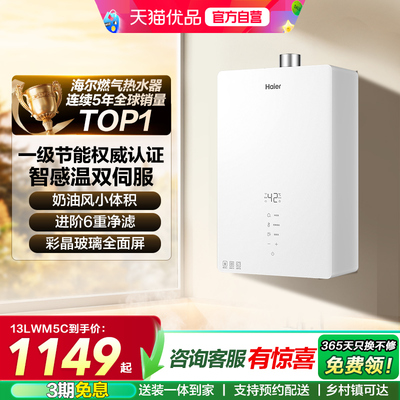 海尔燃气热水器官方正品WM5C节能