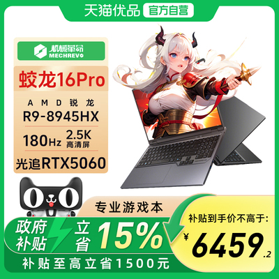 蛟龙16Pro锐龙98945HX/RTX5060