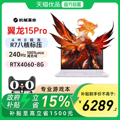 机械革命翼龙15ProRTX4060240HZ