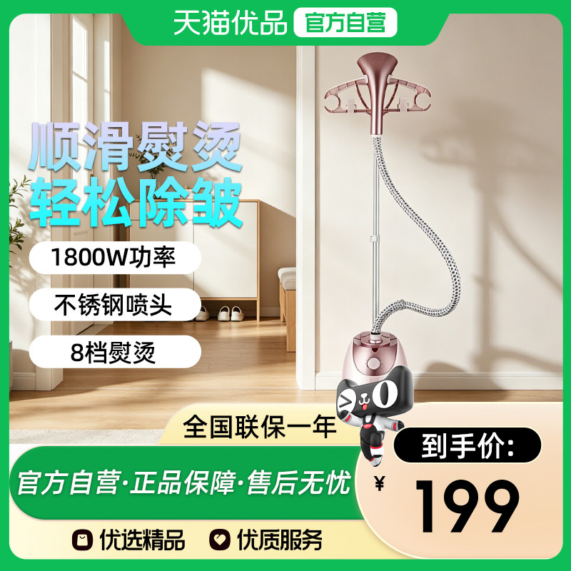 荣事达RS-GT181蒸汽挂烫机家用小型手持立式烫衣服熨烫机电熨斗图片