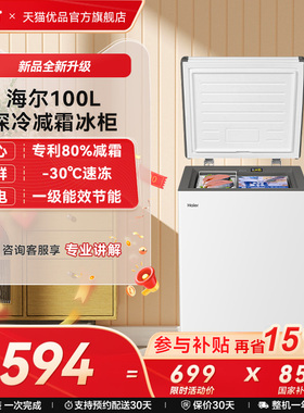 Haier/海尔 BC/BD-100GHW9D 卧式冷柜