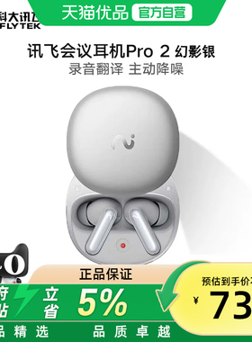科大讯飞（iFLYTEK）Pro2无线蓝牙耳机录音翻译AI降噪会议耳机X