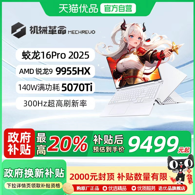 机械革命16英寸蛟龙16Pro游戏本
