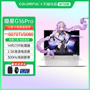 Pro 隐星G16 酷睿i7 14650HX 5080满血性能独显电竞游戏笔记本电脑 Colorful RTX5070Ti 七彩虹