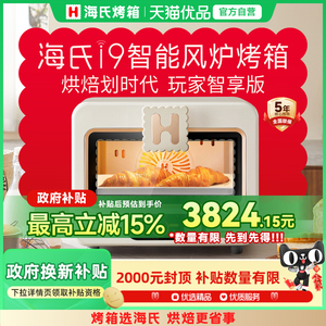 Hauswirt/海氏 i9智能风炉烤箱家用烘焙商用多功能发酵小型