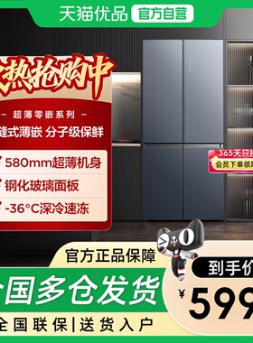 TCL460升十字双开门超薄嵌入零缝隙嵌入 多点离子杀菌R460P12-UQ