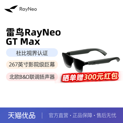 【新品首发丨蒋奇明同款】雷鸟RayNeo GT Max 旗舰AR智能眼镜 59°FOV高清观影 原生3Dof XR设备非vr ai眼镜