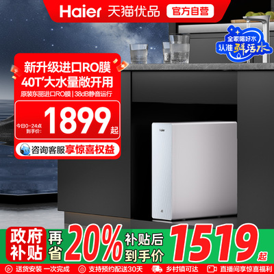 海尔山茶花鲜活水PRO厨房家用RO反渗透净水器1000G净饮机R882