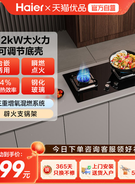 海尔燃气灶煤气灶双灶家用天然气猛火灶台嵌入式台式大火力Q2BE6