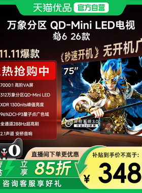雷鸟鹤6 26款 75英寸MiniLED分区4K 288Hz超高刷平板电视机75R69A