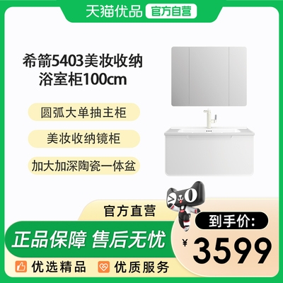 希箭（HOROW）5403天鹅湖系列美妆收纳浴室柜100cm套装O2O