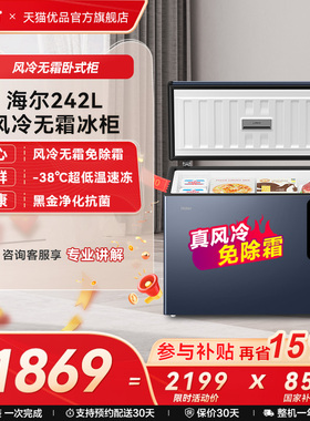 Haier/海尔 BC/BD-242WGHED 卧式冷柜